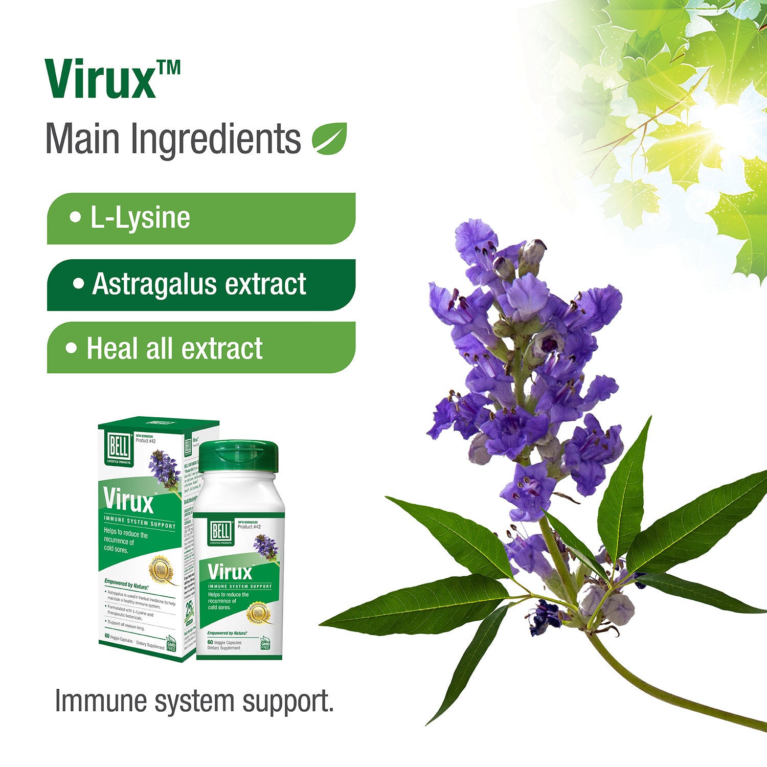 5-42_ViruxCDN_Ingredients