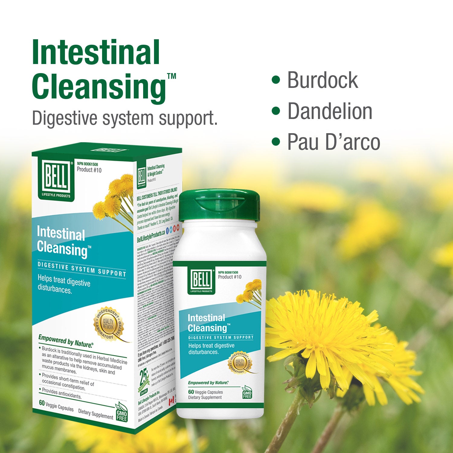 5-Amazon_10Keyingredients_608e9fb9-f7c7-4c3c-af2b-6cd4b7c36905
