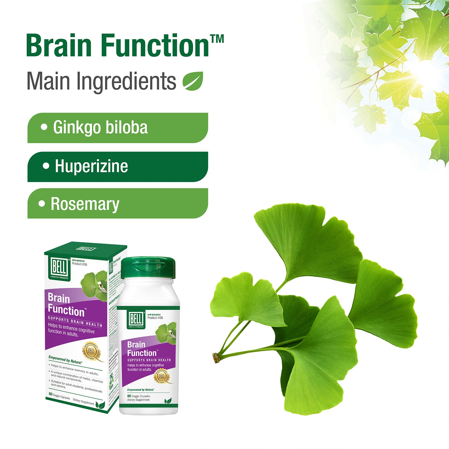5_-_CDN_36_Ingredients