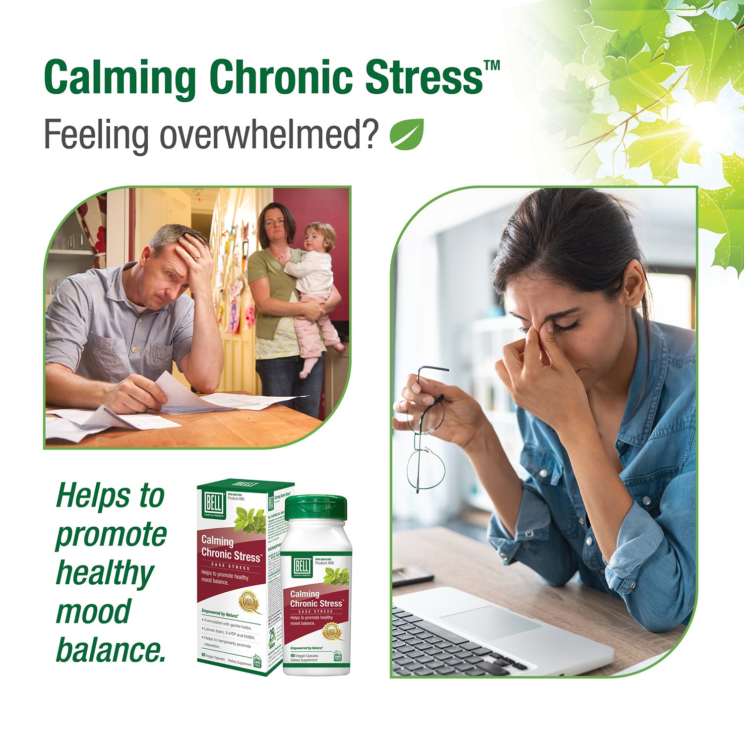 6-CDN66CalmingChronicStress_Symptoms