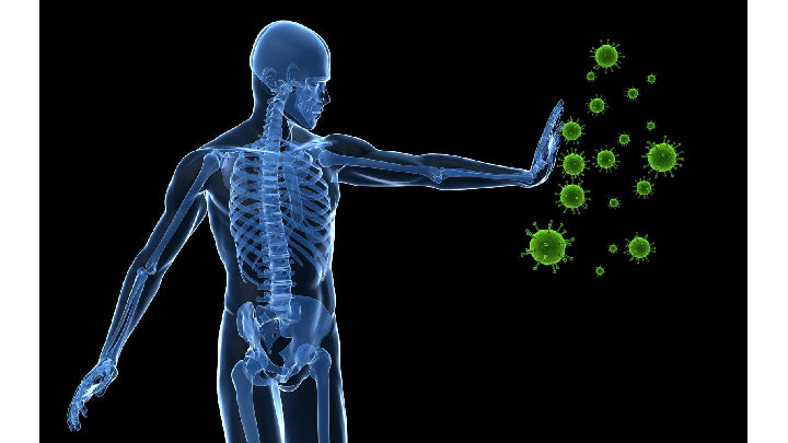 The immune system – protection against unwanted pathogens