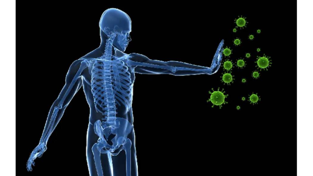 The immune system – protection against unwanted pathogens