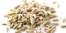 Fennel Seed