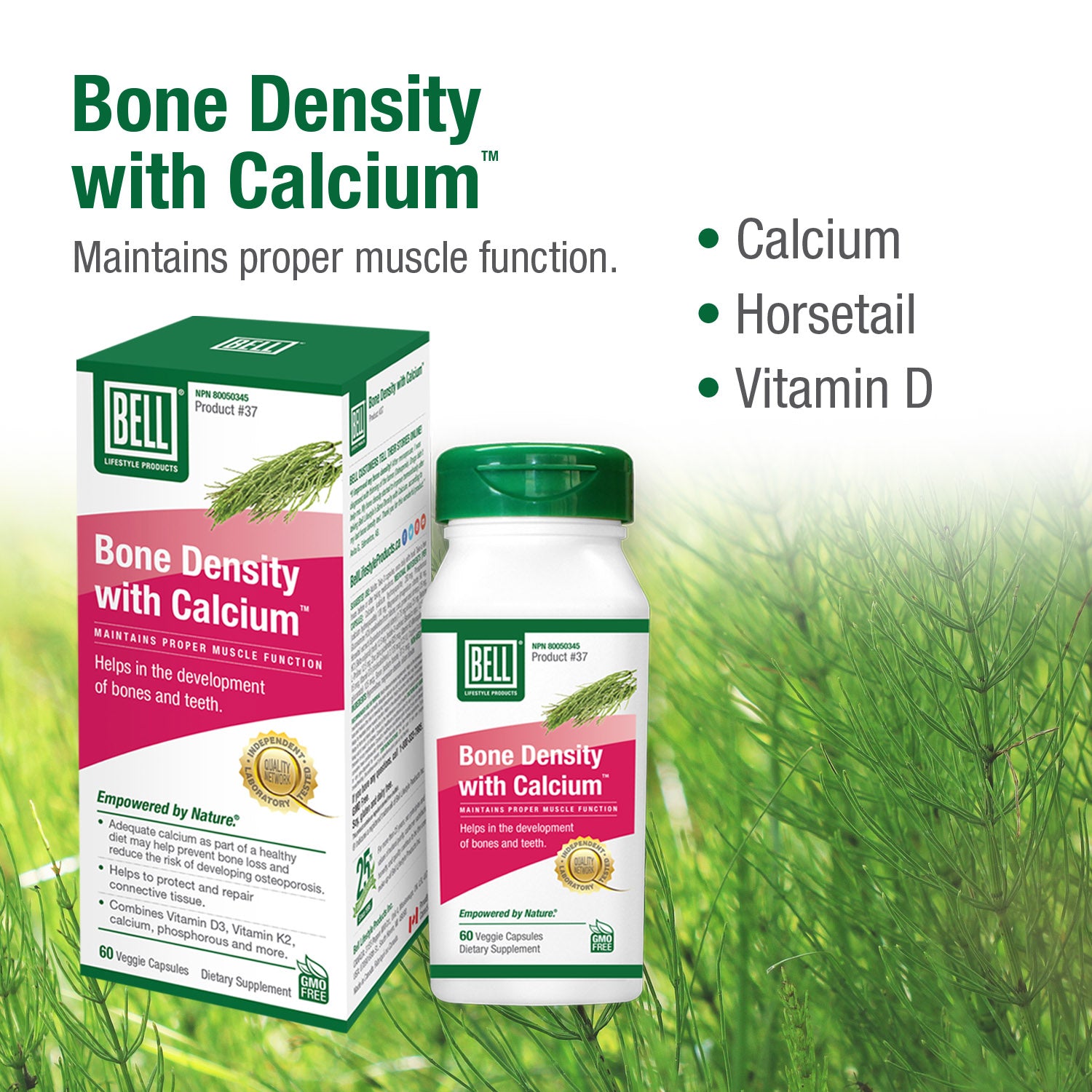 #37 Densité osseuse avec Calcium™