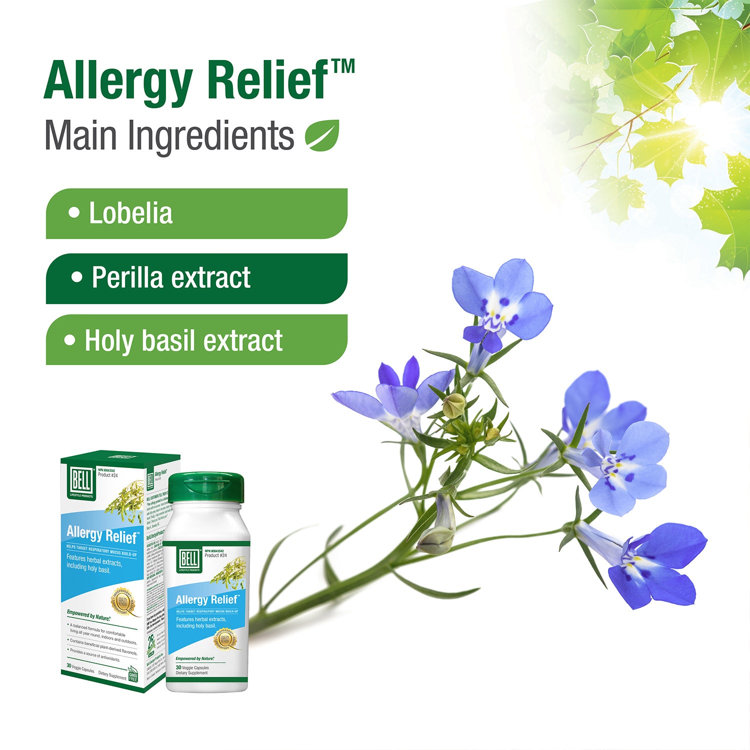 #24 Soulagement des allergies™