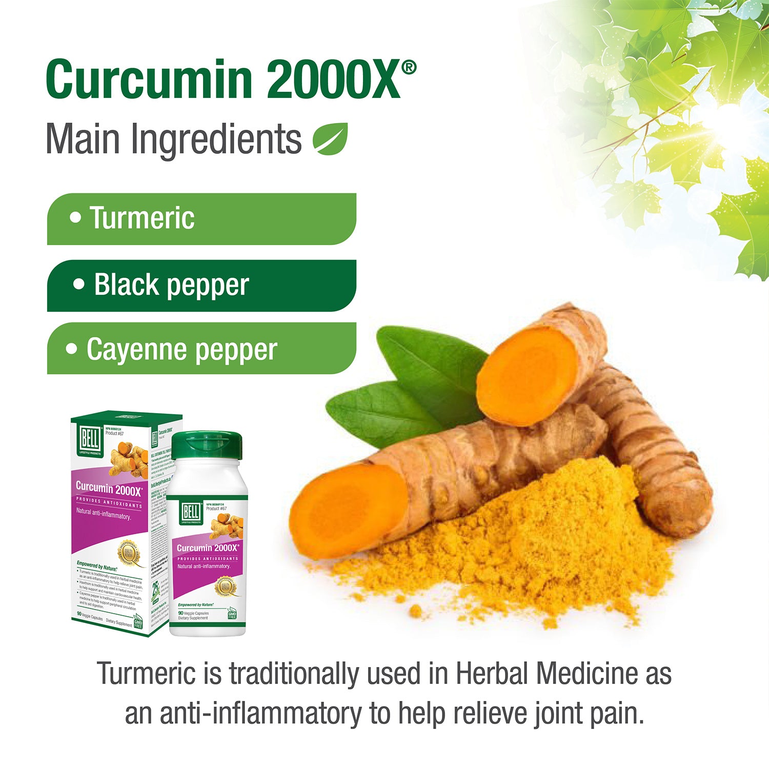 #67 Curcumin 2000X®