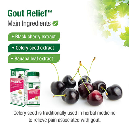 #89 Gout Relief™