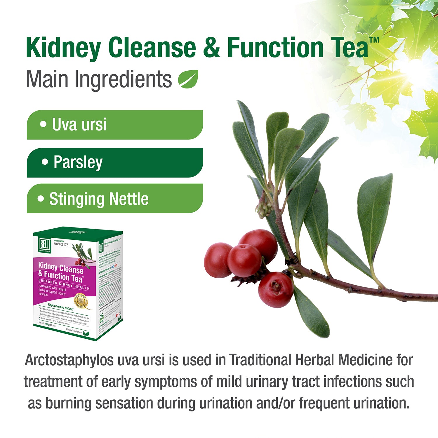 #76 Kidney Cleanse & Function Tea™