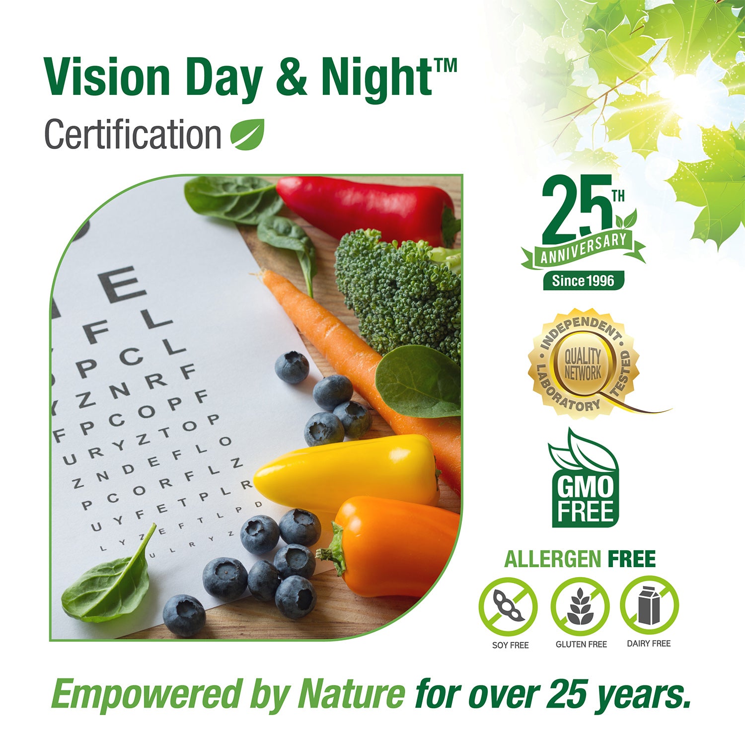 #38 Vision Day & Night™