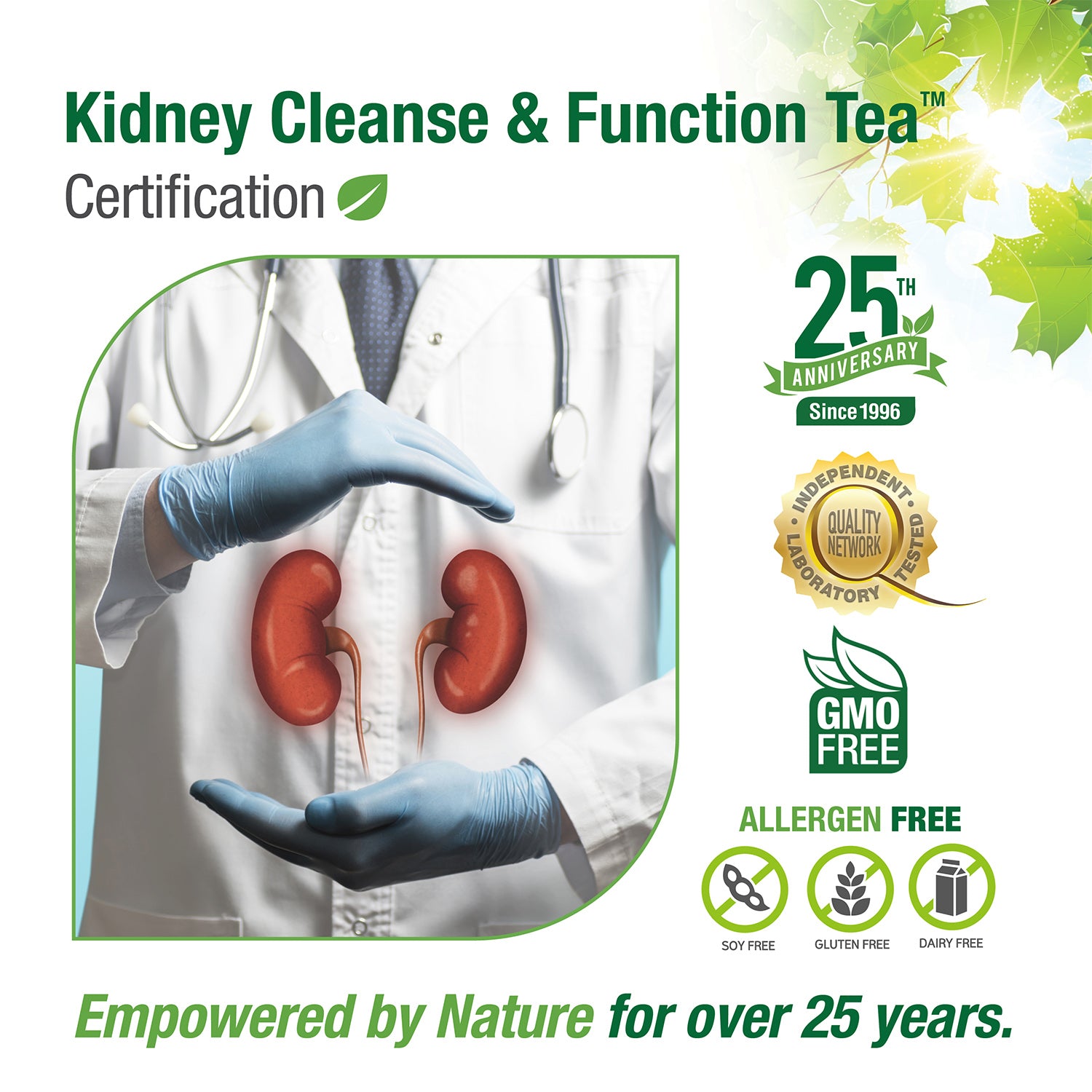 #76 Kidney Cleanse & Function Tea™